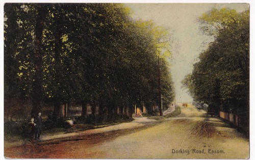 Dorking road epsom - ​dorking,