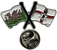 Wales and Northern Ireland Pin