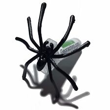Sneaky Spider Geocache Nano