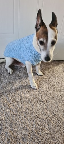 Hand knitted dog jumper - dog,