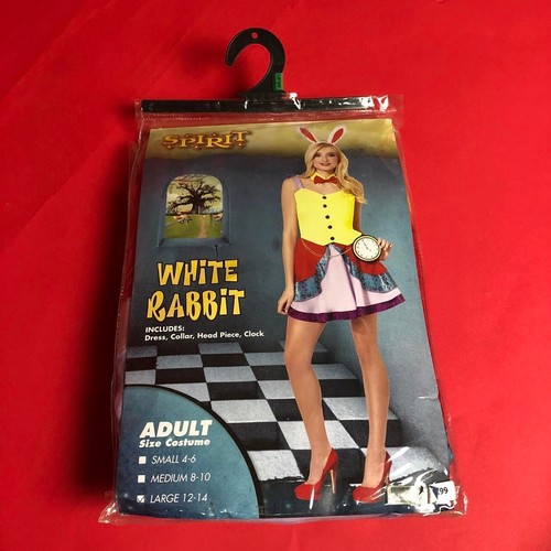 Female white rabbit from - rabbit,