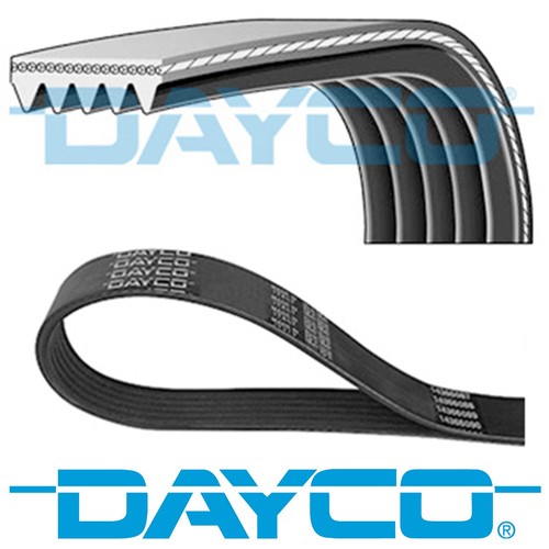 Genuine dayco ribs 2020mm - genuine,
