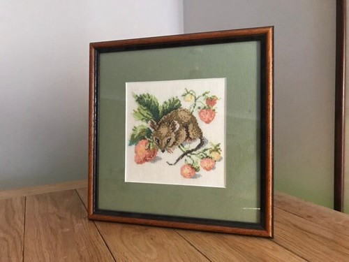 Finished framed country mouse - finished,
