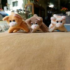 Pound Puppies Purries Kittens