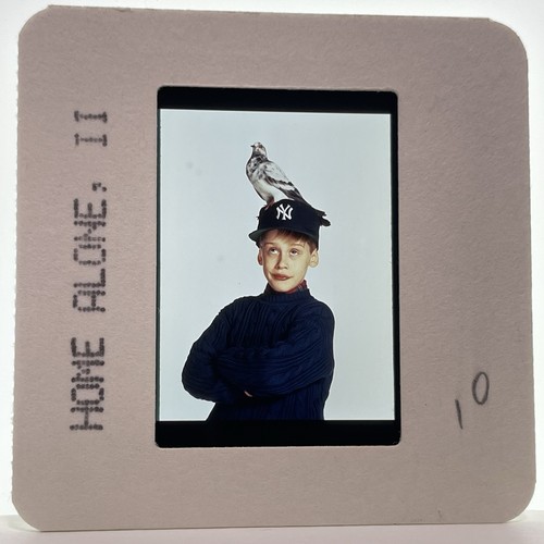 Vintage 35mm slide macaulay - vintage, of