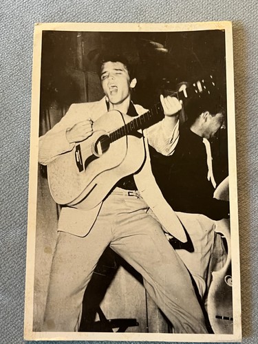 Elvis presley 1956 - elvis,