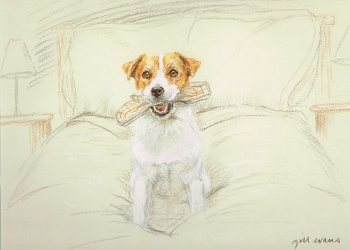 Jack russell terrier print - jack,
