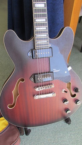 Pyleusa string electric - pyleusa,
