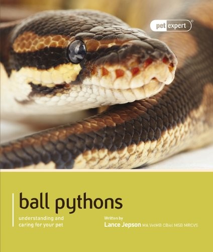 Ball pythons pet - -,