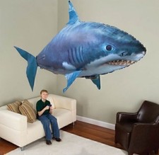 Remote Control Inflatable