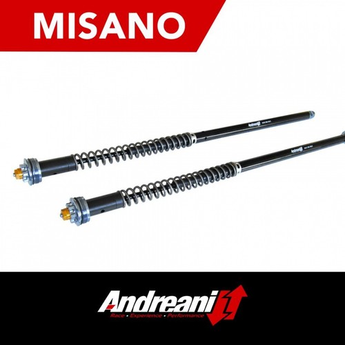 Andreani misano fork - misano,
