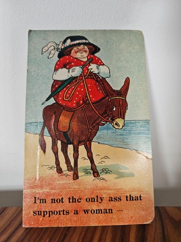 Vintage comic seaside - seaside, humour