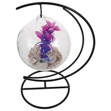 Tabletop Goldfish Tank