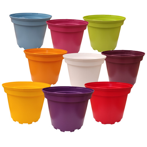 Coloured plastic plant - plastic, pots