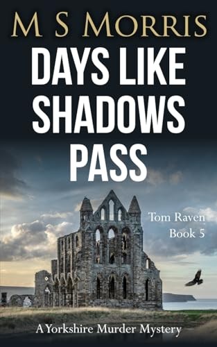 Days like shadows pass - pass:, a