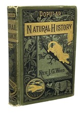Rev J G WOOD / Popular Natural