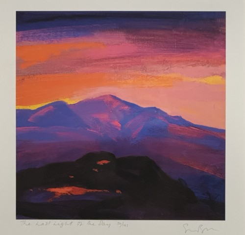 Simon bull the last light - bull,