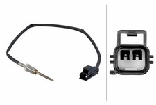 Exhaust gas temperature - gas, sensor