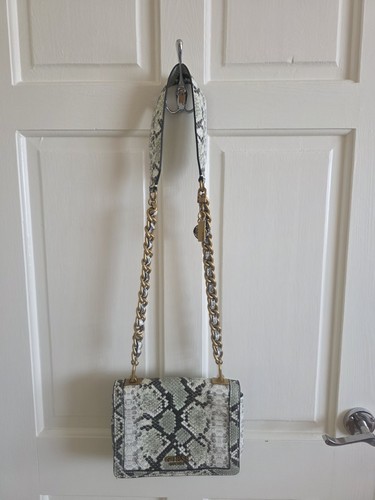 Guess green black snake - &,