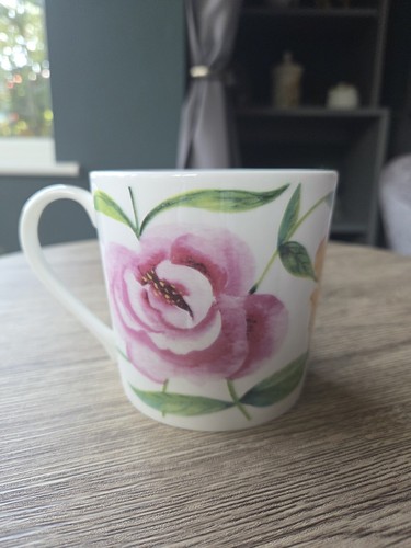 Vintage rose england fine - rose,
