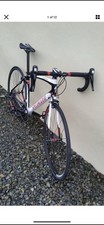 Specialized Secteur, Sport -