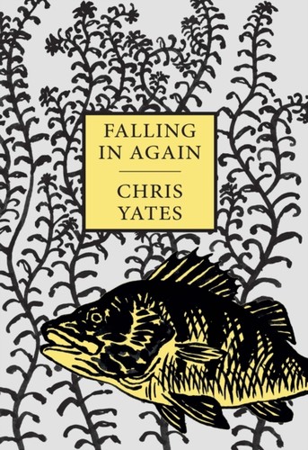 Falling again tales - in,