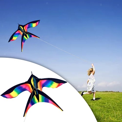Giant bird kite fly - fly, huge