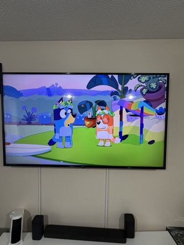 Large flat screen - lg,