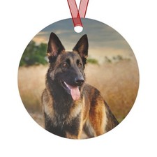 Dutch Shepherd Metal