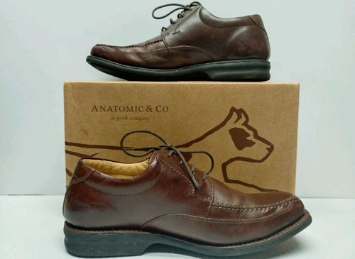Anatomic goias brown - &,