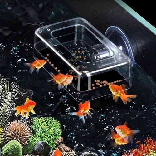 Acrylic fish feeder floating - acrylic,