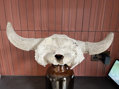 Genuine antique saskatchewan - genuine,