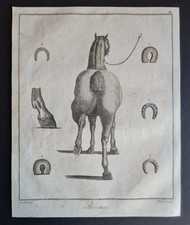 Antique 1792 print - , horse