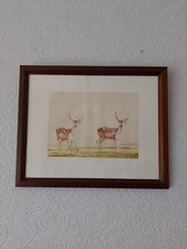 Simon Bull Limited Edition