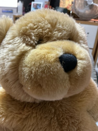 Jelly cat vintage bear - vintage,