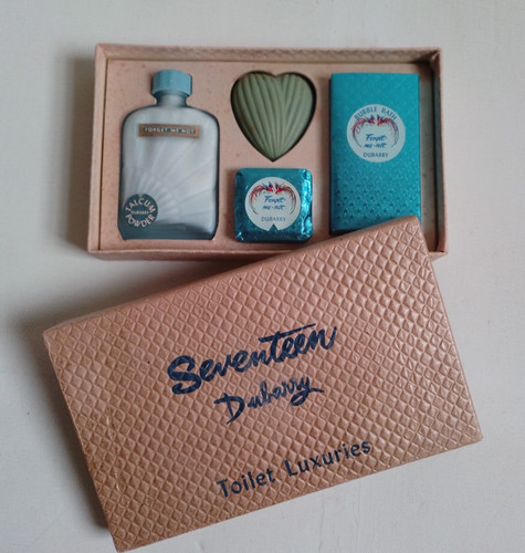 Dubarry seventeen toilet - seventeen,