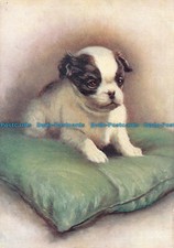 R163715 The Japanese Spaniel