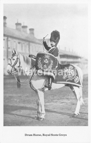 0595 british army drum - 0595., army.