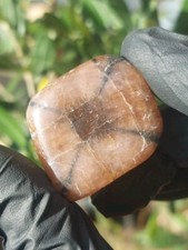Chiastolite andalusite - chiastolite,