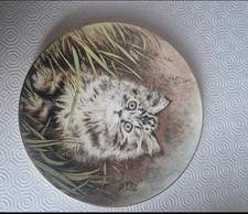 Royal Worcester "Wild Flower" Kitten Collector Plate