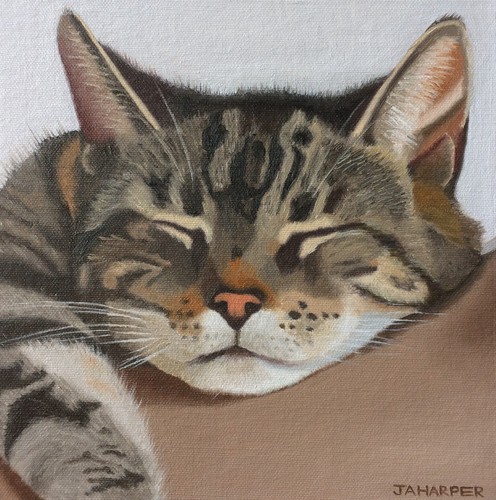 Cat art print - ,, limited