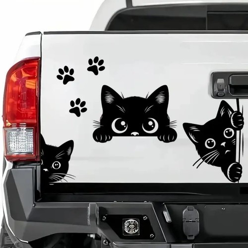 Cute peeking kittens - cute,