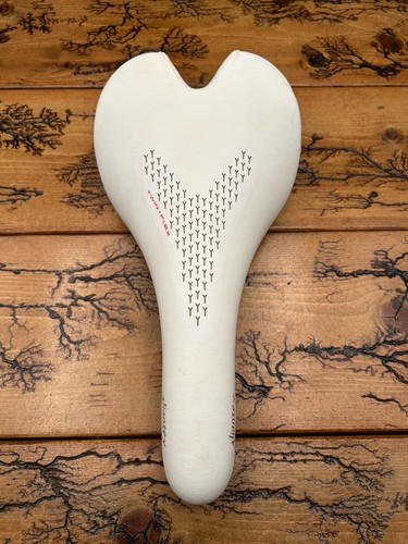 Fizik aliante gamma - fizik,