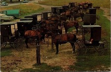 Amish Rigs Horse Buggies Market Day Tie Post cars Trucks Dirt Road Postcard UNP