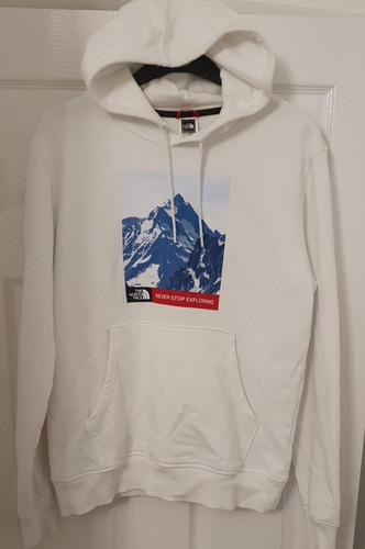 The north face hoodie mens - north,