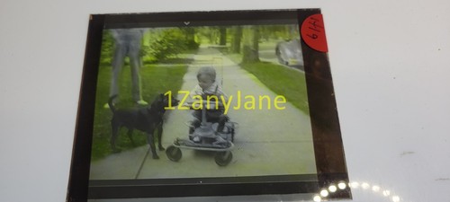 H19 glass slide negative - or,