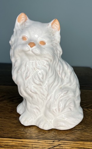 Persian himalayan kitten - himalayan, cat