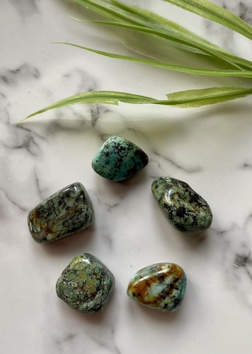 African turquoise tumbled - turquoise,