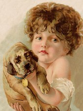MASTIFF LITTLE GIRL HOLDS