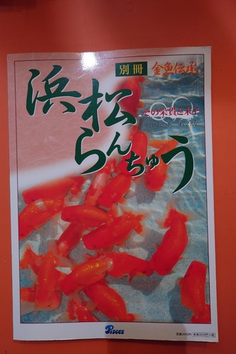 Hamamatsu ranchu its glory - ranchu,
